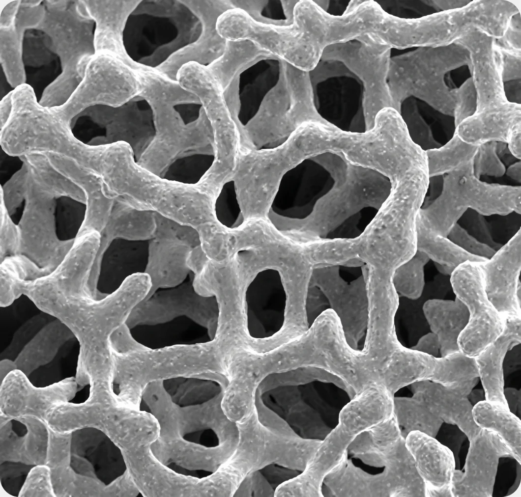 A magnified porous titanium structure